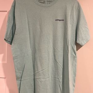Men’s Patagonia Tshirt